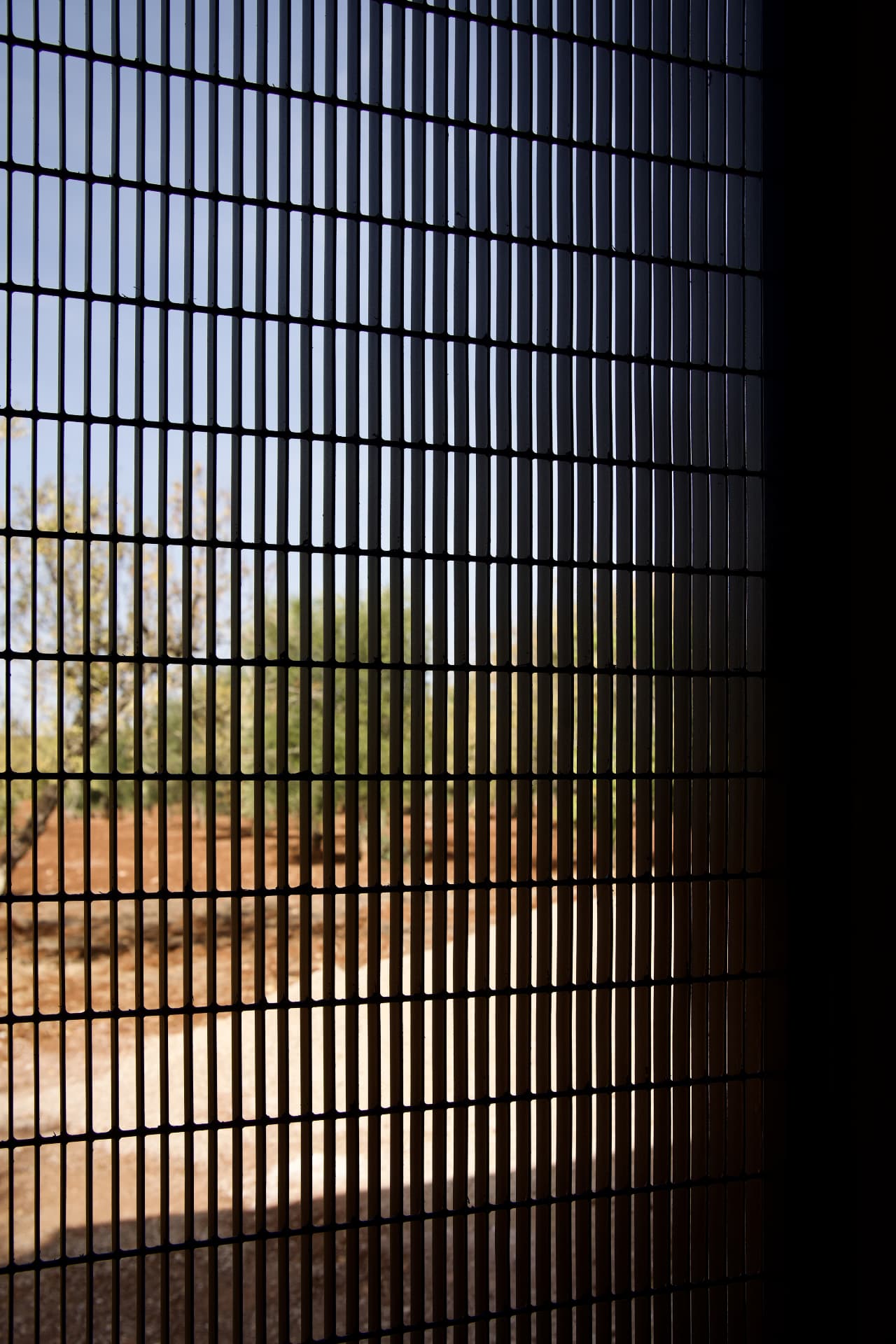 Detail of a dark metal grid screening a view of olive trees and Puglian countryside